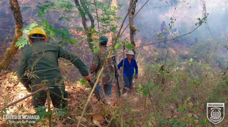 ejercito de n Nicaragua, sofocación de incendio, nicaragua, Madriz, ejercito de nicaragua, gobierno d nicaragua,