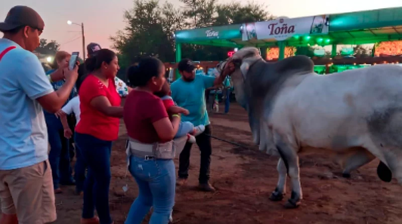 chinandega, feria ganadera, productores ganaderos, nicaragua,