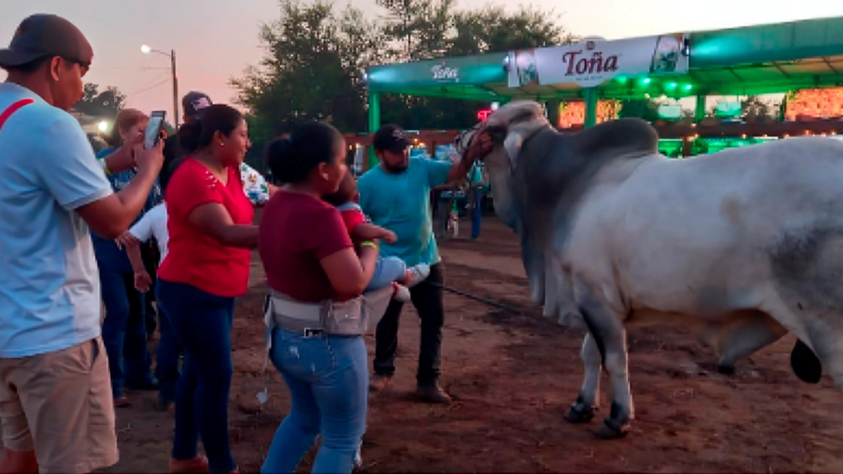 Feria Ganadera Chinandega 2024 supera todas las expectativas