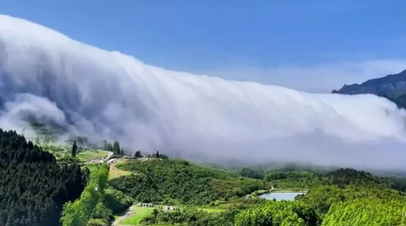 cascada de nube, fenómeno natural, fenómeno atmosférico, maravilla natural, China, Chongqing, maravilla natural, video,