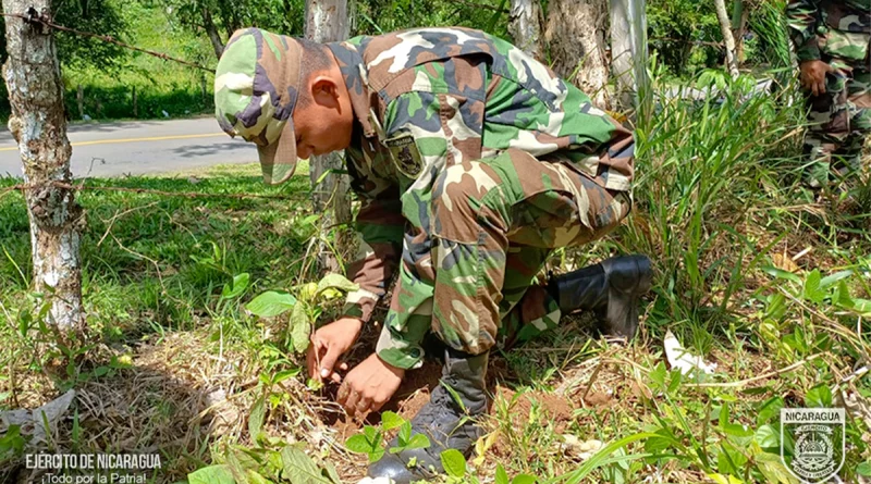 nicaragua, ejercito de nicaragua, rio san juan, jornada de reforestacion,