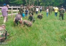 ejercito de nicaragua, potosi, rivas, reforestacion ambiental, inafor