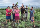 marena, jornada reforestacion, managua, bosques