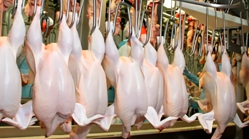 consumo y comercio, carne de pollo, aumento de 20%, nicaragua