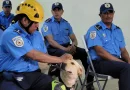 nicaragua, bomberos de nicaragua, búsqueda, rescate, curso de certificación, canes, perros,nicaragua