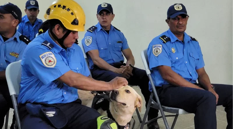 nicaragua, bomberos de nicaragua, búsqueda, rescate, curso de certificación, canes, perros,nicaragua