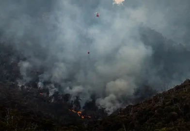 salud, enfermedades, humo, incendio forestal, exposicion, demencia, padecer, estudio, revela, contaminacion del aire, cambio climatico,