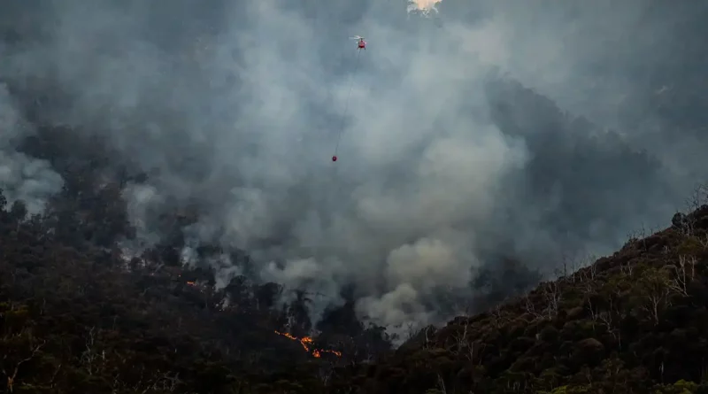 salud, enfermedades, humo, incendio forestal, exposicion, demencia, padecer, estudio, revela, contaminacion del aire, cambio climatico,