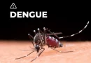 opinion, nicaragua, dengue