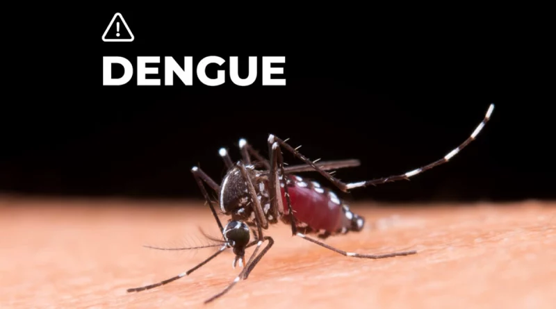 opinion, nicaragua, dengue