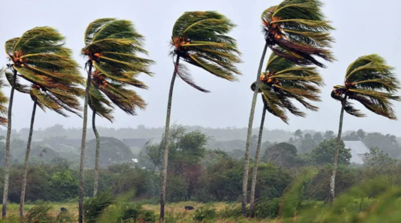 nicaragua, litoral caribe, pacifico, ejercito de nicaragua, monitoreo