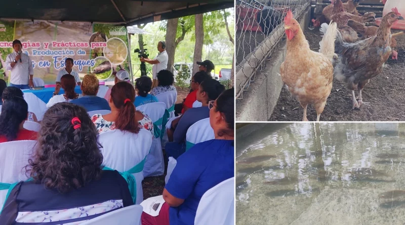 inta, managua, villa el carmen, productores