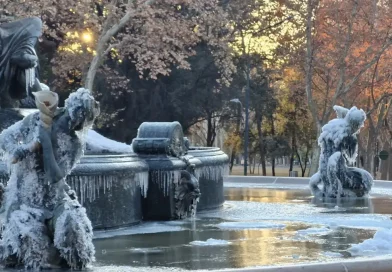 frio, ola polar, frio extremo, Argentina, alerta roja, bajas temperaturas, fuente congelada,