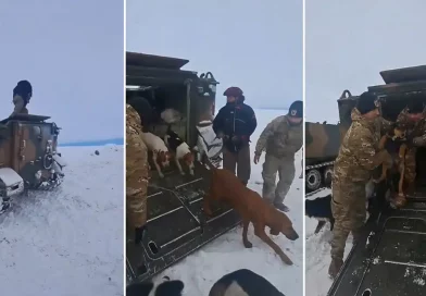 Argentina, rescate, salvan, peón rural, perros, La Verdadera Argentina, El Calafate, varados, nieve, aislados, soldados, ejército de Argentina,