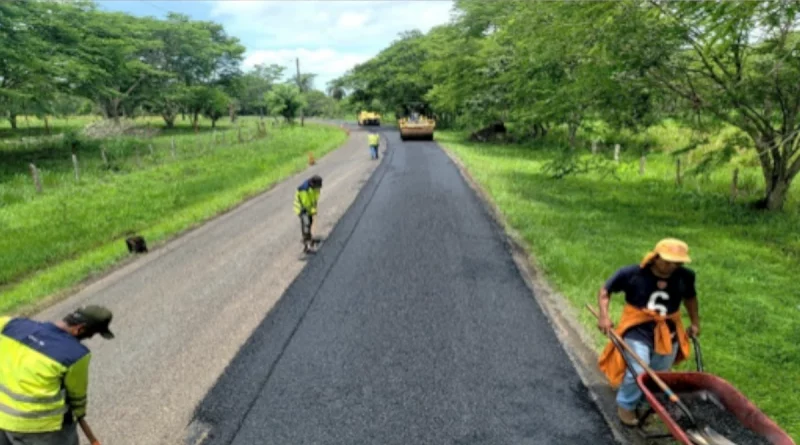 nicaragua, mti, carretera empalme, pajaro negro, el almendro