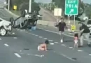 niños, sobrevivientes, accidente, Estados Unidos, accidente en autopista, Estados Unidos, Texas, auto pista,