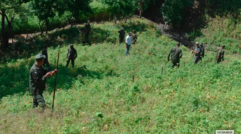 ejercito de nicaragua, matagalpa, inafor,