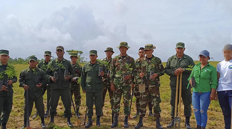 ejercito de nicaragua, puerto cabezas, nicaragua, jornada de reforestación