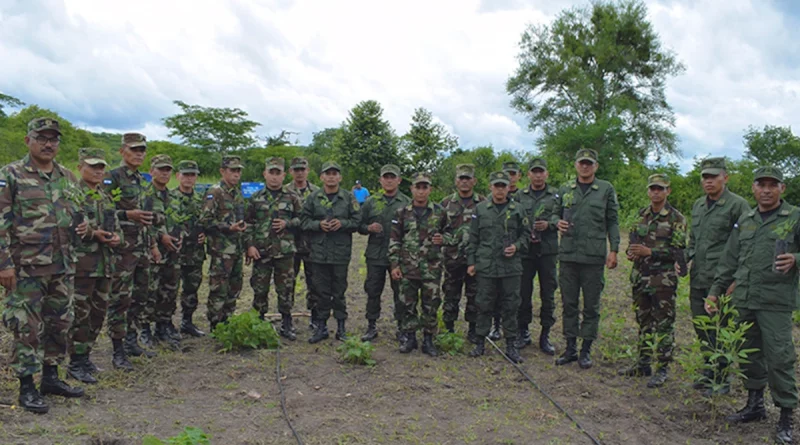 nicaragua, ejercito de nicaragua, reforestación