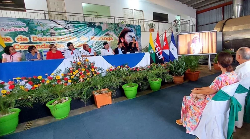 universidad agraria, managua, desarrollo de moringa, nicaragua, comandante fidel castro ruz