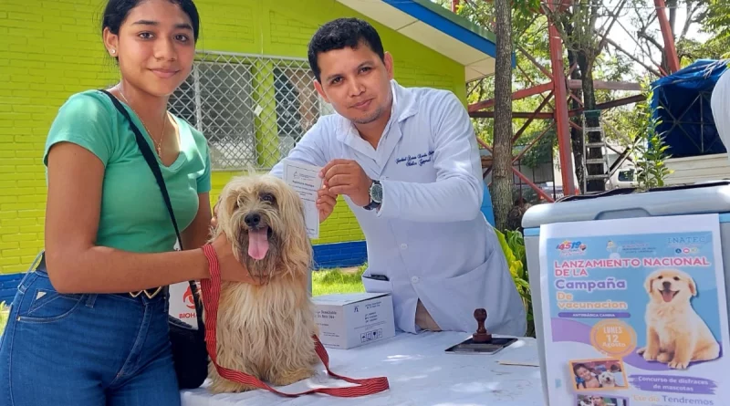 minsa, salud, ministerio de salud, gobierno de nicaragua, minsa, vacunación anti rábica, vacunación canina, chontales,