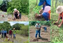 movimiento ambientalista, reforestacion, nicaragua,