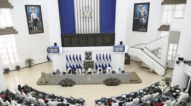 nicaragua, ongs, alianza de asociacion, asamblea de nicaragua, adolfo pastran,