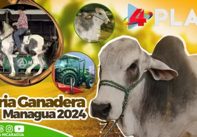 Nicaragua, ganadería, gastronomia, feria ganadera, managua, familias, nicaraguenses, toros, animales