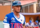 chontales, pomares 2024, beisbol de nicaragua, dantos,