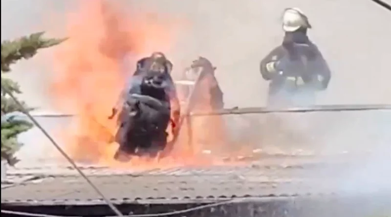 chile, bomberos, incendio, video,