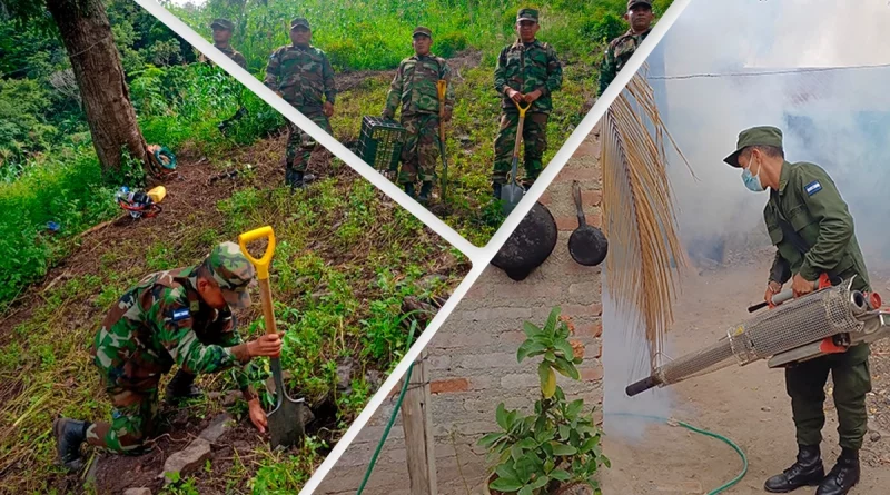 ejercito de nicaragua, jornada fumigación, jornada reforestación ambiental, madriz