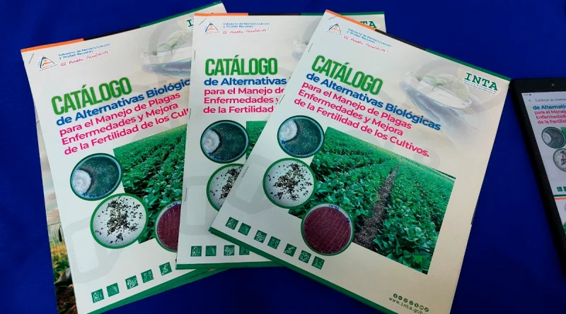 mangua, inta, cultivo, nicaragua, catalogo, plagas, fertlidad,