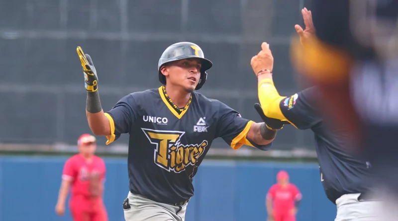 nicaragua, pomares 2024, tigres de chinandega, dantos, beisbol,