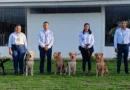 ipsa, nicaragua, inspeccion sanitaria, tecnica canina, aeropuerto