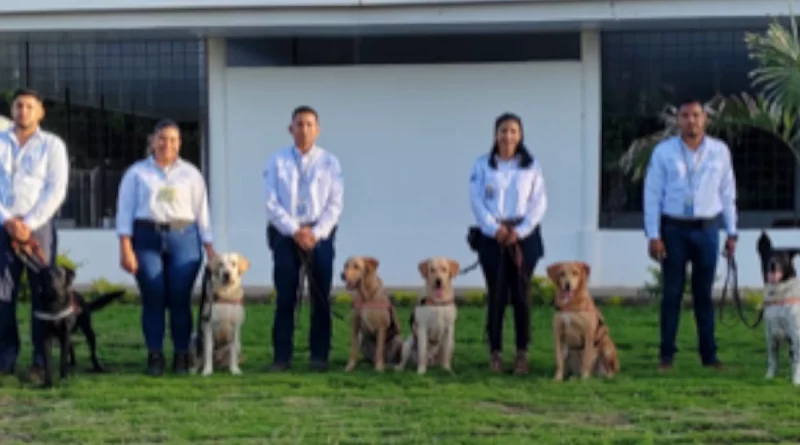 ipsa, nicaragua, inspeccion sanitaria, tecnica canina, aeropuerto