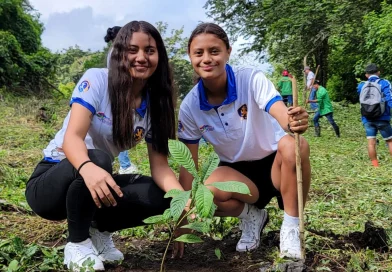 alcaldia de managua, jornada, reforestacion, nicaragua,