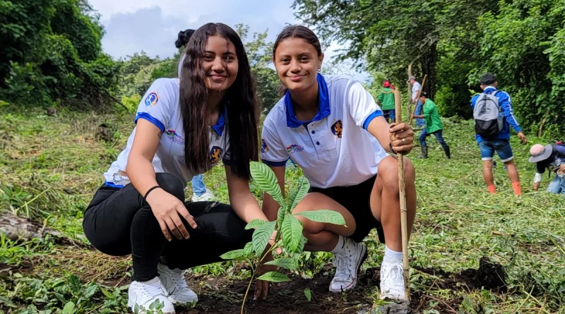 alcaldia de managua, jornada, reforestacion, nicaragua,