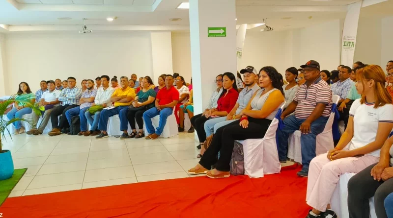 nicaragua, curso, inta, protagonistas, nutricional, marketing, granjas porcinas