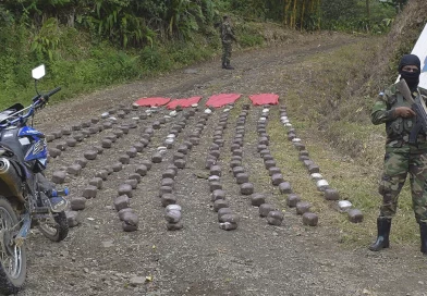 Ejército de Nicaragua, incautación de droga, nicaragua, nuevasegovia,