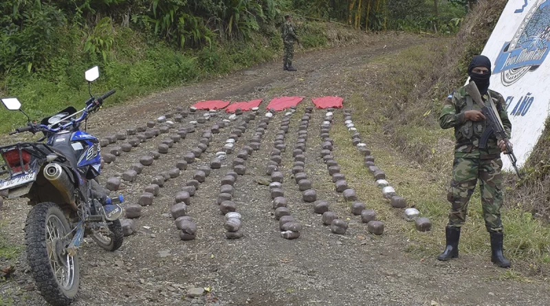 Ejército de Nicaragua, incautación de droga, nicaragua, nuevasegovia,