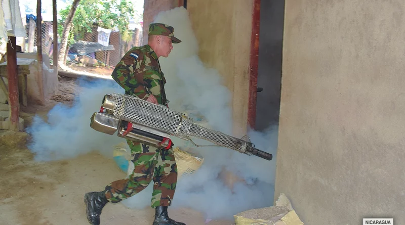 ejercito de nicaragua, madriz, minsa, jornada de fumigacion,