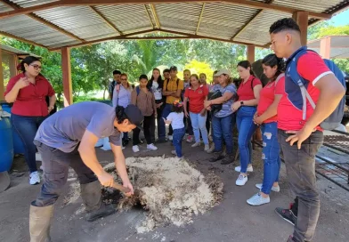 inta, estudiantes, universidad en el campo, abono organico, lombricultura,