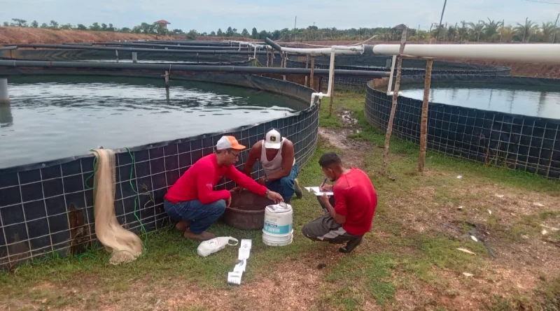 inpesca, nicaragua, costa caribe norte, bilwi, granja, tilapia, apoyo tecnico,