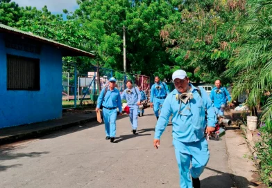 minsa, dengue, nicaragua, casos, brigadistas,