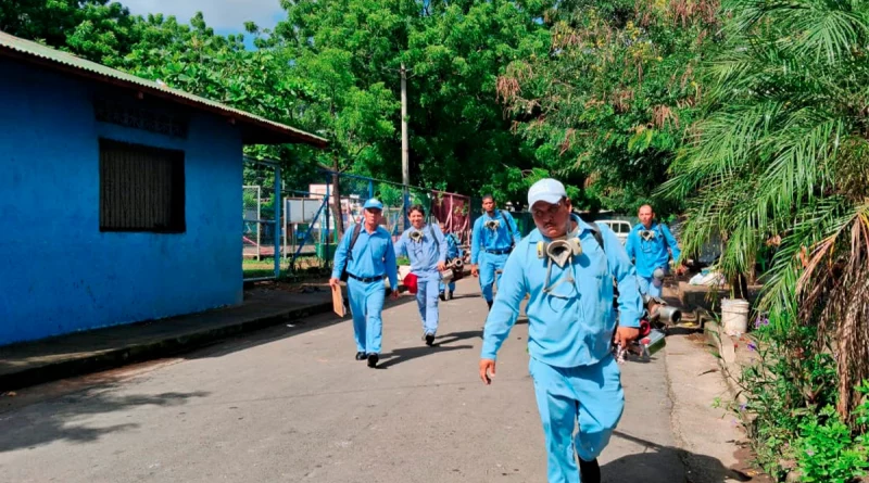 minsa, dengue, nicaragua, casos, brigadistas,