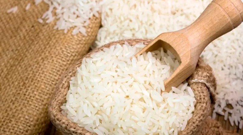 Nicaragua, arroz, producción, seguridad alimentaria