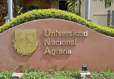 universidad agraria, produccion, nicaragua, agropecuaria, managua, desarrollo,