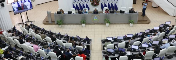 asamblea nacional, ejercito de nicaragua, naves, aeronaves, managua, nicaragua, ingresos