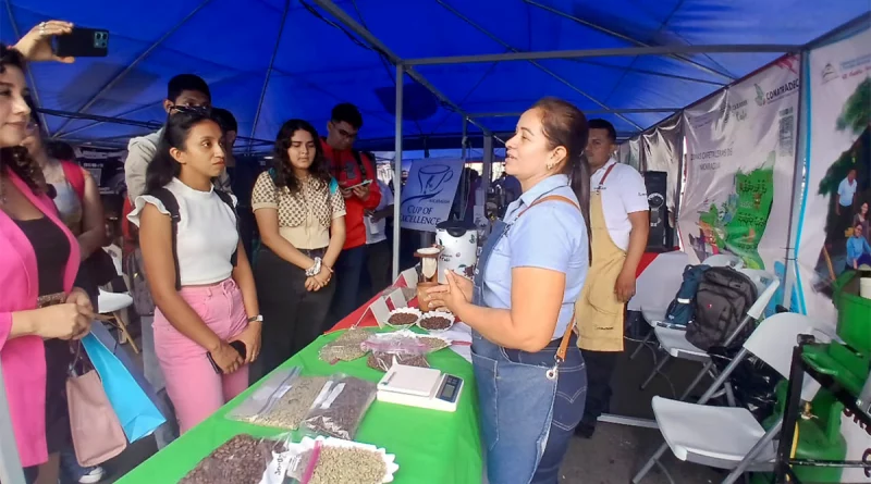 nicaragua, matagalpa, feria nacional del cafe, cafe,