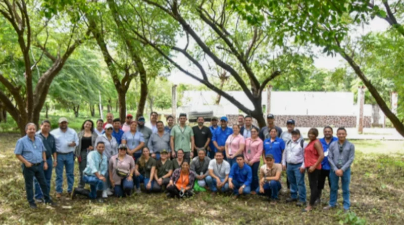 nicaragua, autoridades sanitarias, control del gusano barredor, plaga